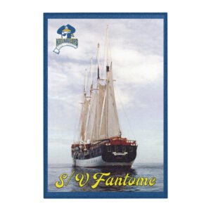 SV Fantome Collectible Area rug